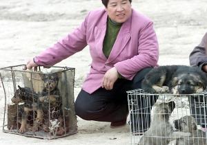 A vendor waits at a corner of a makeshift dog market&nbsp;&hellip;