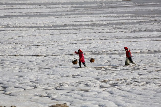 江蘇連雲港北部海州灣沿海漁民行走在被海冰覆蓋的海面上（新華社）