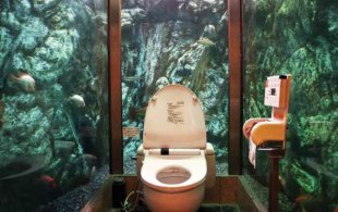 Underwater Toilet