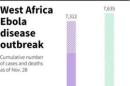 Grafico su andamento ebola in Westa Africa basato su dati Who