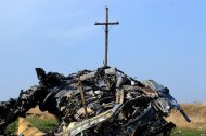 The wreckage of Malaysia Airlines flight MH17 near the village of Rassipnoe, October 15, 2014