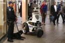 A member of the NYPD is seen with a canine at the   Times Square subway station in New York