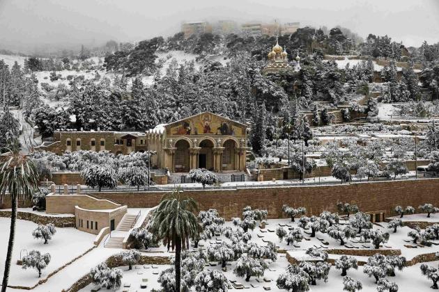 Snow covers the Garden of Gethsemane at the foot of the Mount of Olives in Jerusalem
