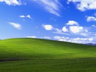 Cei mai buni antiviruși pentru Windows XP