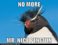 What Will Google Penguin 2.0 Mean For Website Content? image 
