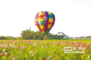 美濃區公所將進行彩繪大地開園，現場搭配載人熱氣球高空賞花活動。 （林雅惠攝）