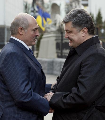 Crisis-hit Russia's top allies build ties with Ukraine