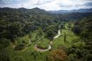 Descubren la ciudad perdida en Honduras