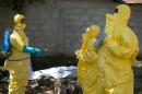 Du personnel de la Croix rouge guinéenne s'apprête à transporter le corps d'une victime du virus de l'Ebola, le 21 novemb...<br /><br />Source : <a href=
