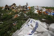 Report confirms MAS flight MH17 pierced by many ‘high-speed objects’