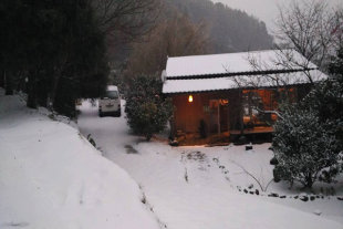 難得一見的雪景 有日式冬季的氣氛 (圖片來源／一葉蘭農場)