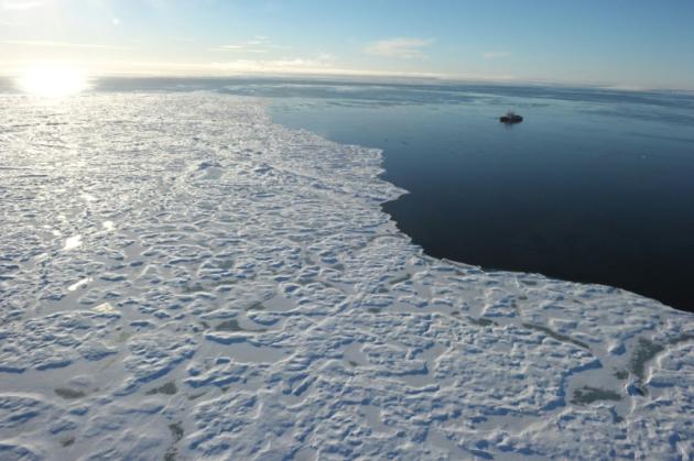 La température de l'air dans l'Arctique a atteint un record cette année depuis le début des relevés en 1900, tandis que la fonte des glaces détruit l'habitat des morses et force certains poissons à migrer plus au nord