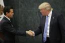 U.S. presidential nominee Trump and Mexico's   President Pena Nieto shake hands in Mexico City