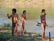 Picture released on July 30, 2014 by Brazil's Fundacao Nacional do Indio (FUNAI) indigenous affaires department shows a group of isolated Amazonian natives on the banks of the Envira River, Acre state, Brazil