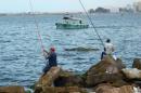 L'Egypte commence à être un pays de départ, selon le directeur de Frontex. Un nombre croissant de bateaux de pêche avec des...<br /><br />Source : <a href=