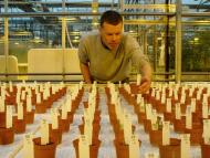 月球和火星土壤種菜 荷蘭溫室實驗成功