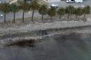 Usa: perde oleodotto, marea nera sulla spiaggia di   Santa Barbara