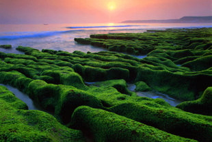 老梅綠石槽，一片綠意盎然與落日相映美景讓人難以忘懷。(圖片來源／新北市觀光局）