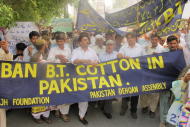 孟山都壟斷南亞棉花種子，圖為巴基斯坦農民抗議。（photo by agricorner）