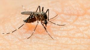 Zika Virus May Cause Rare Paralysis Syndrome, Doctors&nbsp;&hellip;