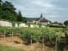 Photo prise le 25 août 2011 de l'abbaye de Hauvillers à Epernay dans le vignoble champenois où officia de 1668 à 1715 le moine bénédictin Dom Pérignon, l'inventeur mythique du champagne
