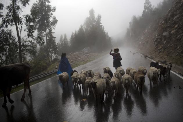 En esta imagen del 3 de diciembre de 2014, mujeres pastoreando sus ovejas en Huaraz, Perú, cerca del glaciar Pastoruri. (AP Foto/Rodrigo Abd)