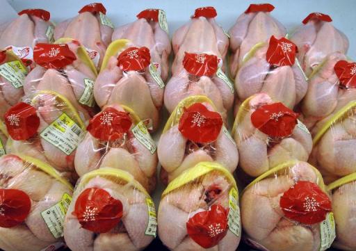 18% dos frangos infectados estÃ£o no grau mais tÃ³xico desta bactÃ©ria