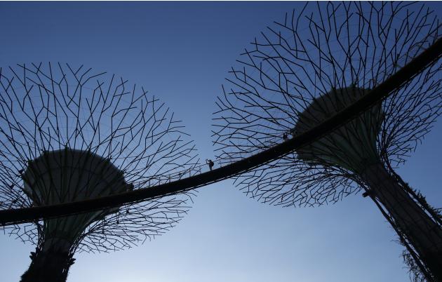A visitor takes photos from an elevated walkway connecting giant concrete tree-like structures called Supertrees at Gardens by the Bay in Singapore