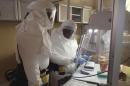 Handout picture of U.S. Army Medical Research Institute of Infectious Diseases technician setting up an assay for Ebola within a containment laboratory