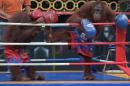 Una pelea de Muay Thai entre dos orangutanes en Safari World, el 9 de julio de 2015 en las afueras de Bangkok