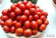 春天好水果！番茄保護心臟功效大
