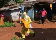 Membro da Cruz Vermelha retira cadáver de vítima do Ebola em Freetown, Serra Leoa, em 12 de novembro de 2014