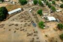 Dans le sud du Sénégal, un drone filme le trafic illégal de bois précieux par des Chinois