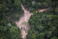 Vista de área devastada por exploração de mandeira ilegal na Amazônia, na região do Pará, em 14 de outubro de 2014