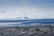 南極海水檢出防曬油和化妝品 濃度不亞於大都市