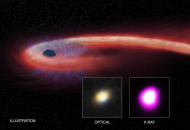 科學家新發現：黑洞 10 年吞 1 星 創歷史之慢