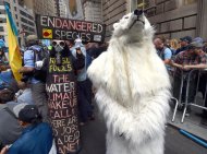 Ativista vestido de urso polar protesta durante a cúpula climática em Nova York