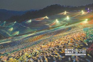 擁恆文創園區以400萬支寶特瓶點綴出來的「星空草原」，在夜晚的照射之下，成為一幅美麗的畫布。（曾百村攝）