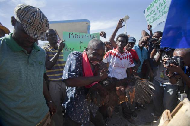 En esta imagen del 5 de diciembre de 2014, un manifestante contrario al gobierno mata un gallo durante una ceremonia de vudú, al inicio e una protesta pidiendo la dimisión del presidente Michel Martel