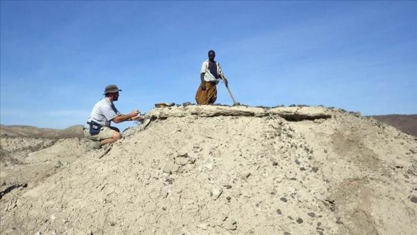 Fotografía cedida del Dr. Chris Campisano (i), de la la Universidad Estatal de Arizona (ASU), recogiendo muestras de una toba calcárea en la zona del proyecto Ledi-Geraru, Etiopía, con ayuda de Sabudo Boraru (dcha). EFE