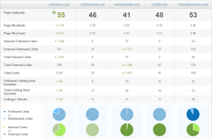 5 Reasons You Need The NEW Moz Analytics image moz competitive analysis