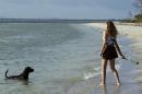 Série d'été: Partir en vacances... avec son chien