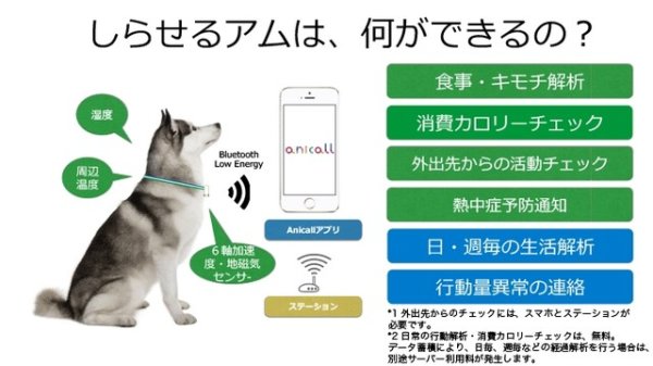 無法理解狗狗狗行為嗎？Shiraseru Am幫你記錄與分析一切！
