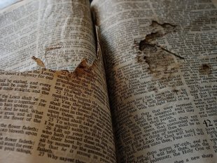 傳統紙張印製的「聖經」很脆弱，容易毀損和老化、脆化。（photo by Felicia Atkinson on Flickr- used under Creative Commons license）
