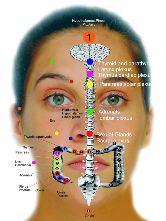 Ρεφλεξολογία- Δες ποιές ασθένειες φαίνονται στο πρόσωπό σου