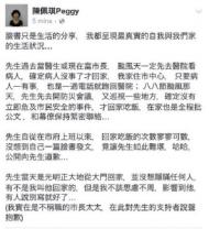 指柯颱風天在家惹議 陳佩琪PO文道歉關臉書