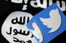 An illustration picture of a 3D printed logo of   Twitter and an Islamic State flag