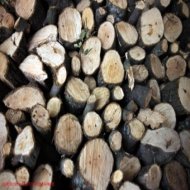 Εξαρθρώθηκε κύκλωμα με 180 τόνους παράνομης ξυλείας σην Αιτωλοακαρνανία