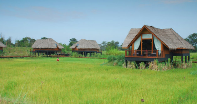 Resort Jatweing Phil Oyanas - descended upon the rice fields