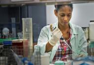 Mulher trabalha em laboratório de pesquisa sobre o câncer em Camaguey, Cuba, em 19 de junho de 2015